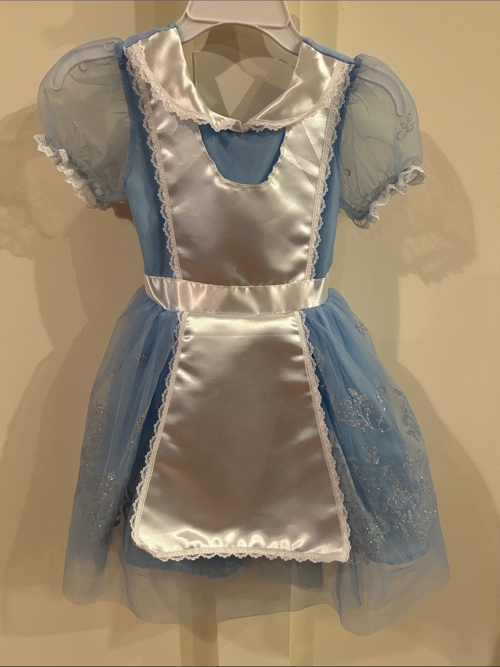 Alice in Wonderland costume!